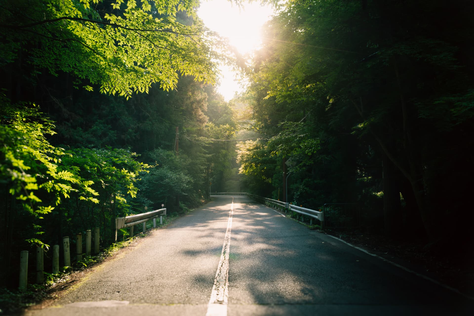 Landscape & nature photography in Kyoto by The Pals' Nest